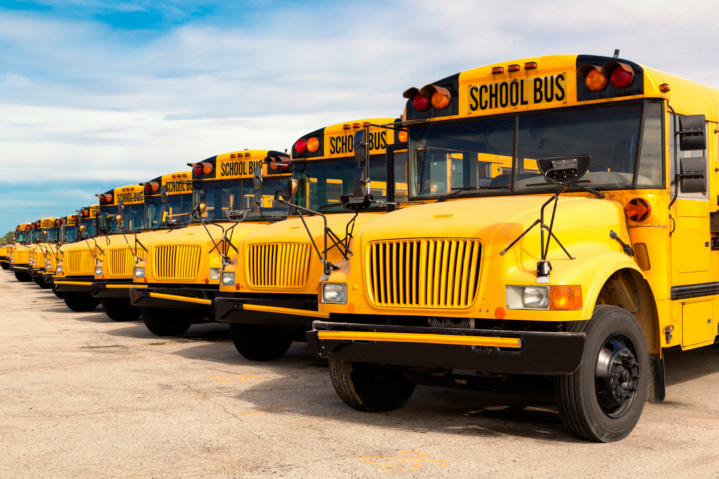 Bus Services Door to Door (Only 4 years old and older)